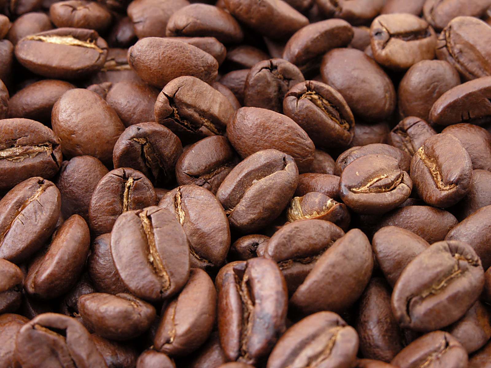 Kopi Arabika Gayo 250g
