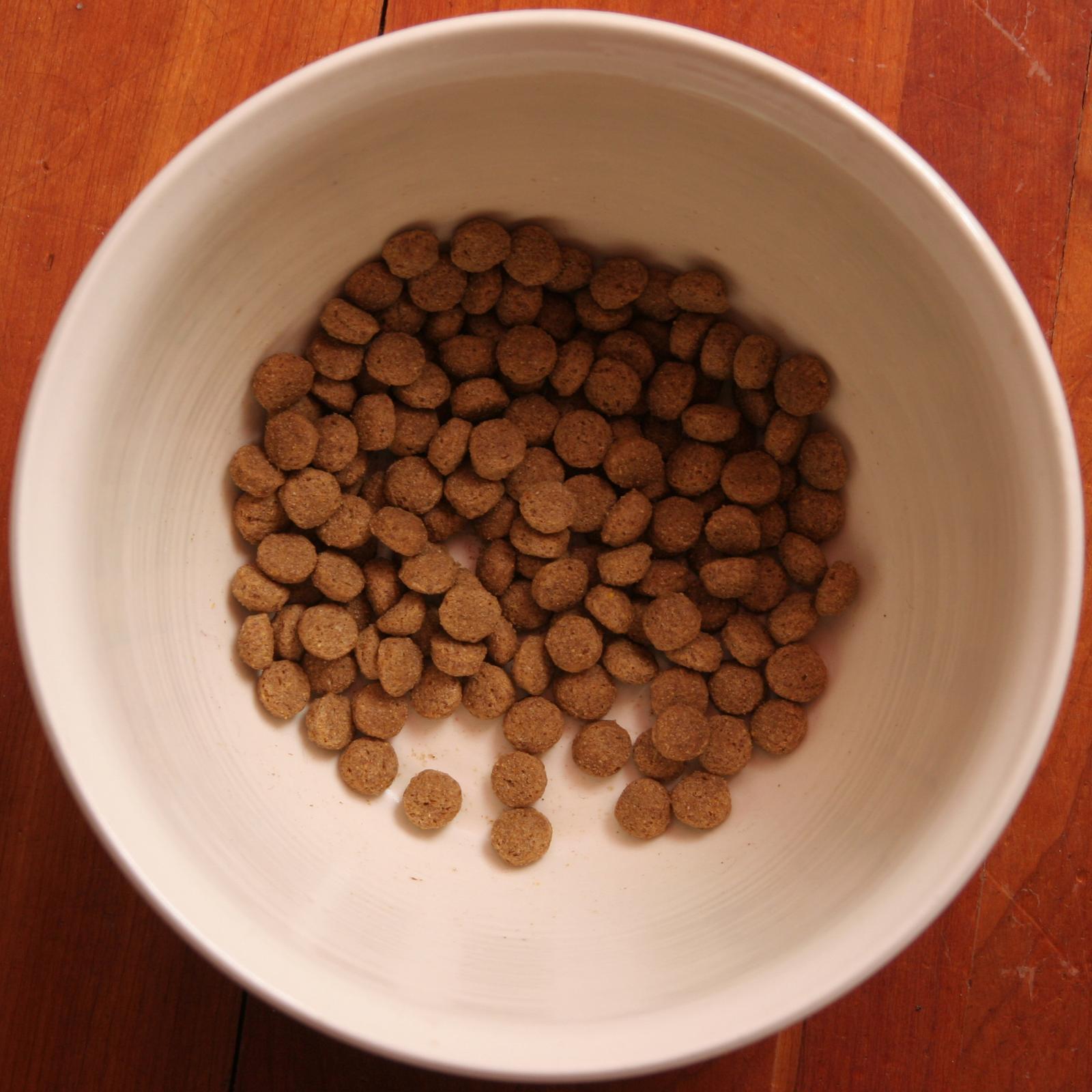 Royal Canin Adult Dog 3kg